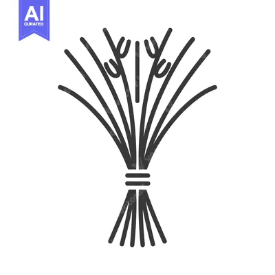 Aset premium populer: Black and white line art illustration of a bundle of lemongrass stalks