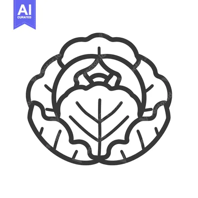 Aset desain premium: Black and white line art illustration of a cabbage