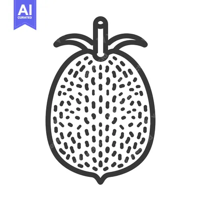 Aset desain premium: Black and white line art illustration of a cape gooseberry