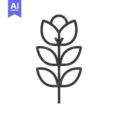 Popular premium asset: Black and White Line Art Illustration of a Flower with Five Petals and