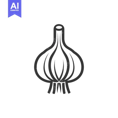 Aset premium populer: Black and White Line Art Illustration of a Garlic Bulb