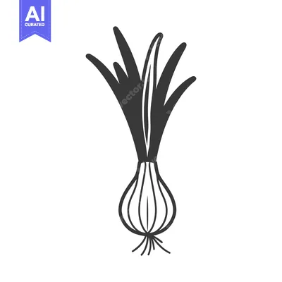 Premium design asset: Black and white line art illustration of an onion