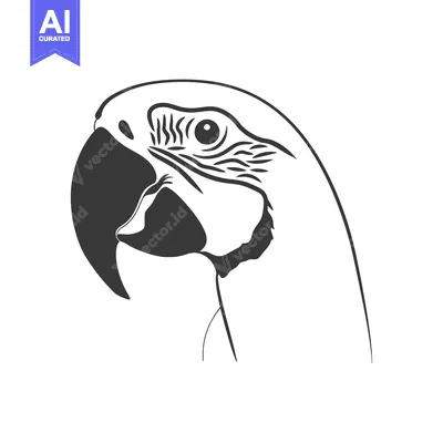 Aset premium populer: Black and White Line Art Illustration of a Parrot Head