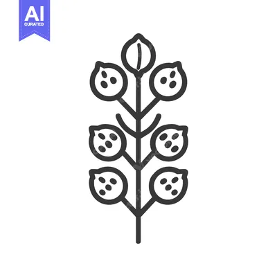 Aset premium populer: Black and White Line Art Illustration of a Plant with Six Fruits