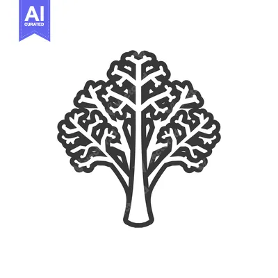 Black and White Line Art Illustration of a Single Kale Plant