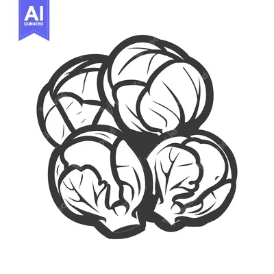 Aset desain premium: Black and White Line Art Illustration of Brussels Sprouts