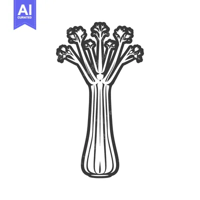 Aset desain premium: Black and White Line Art Illustration of Celery