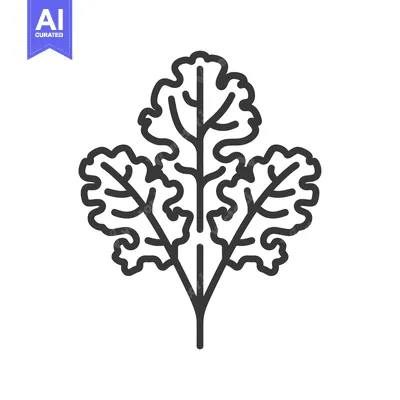 Aset desain premium: Black and White Line Art Illustration of Parsley