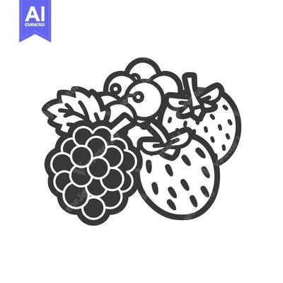 Aset premium populer: Black and White Line Drawing of a Blackberry, Strawberry, and Currants