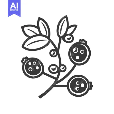 Aset premium populer: Black and White Line Drawing of a Branch with Blueberries