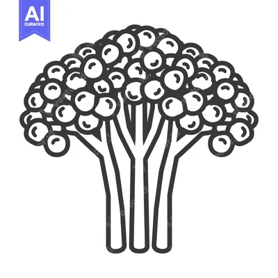 Aset premium populer: Black and White Line Drawing of a Broccoli Floret