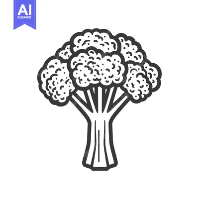 Popular premium asset: Black and white line drawing of a broccoli floret