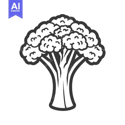 Aset premium populer: Black and White Line Drawing of a Broccoli Floret