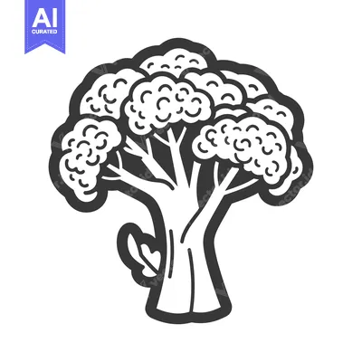 Aset premium populer: Black and White Line Drawing of a Broccoli Floret