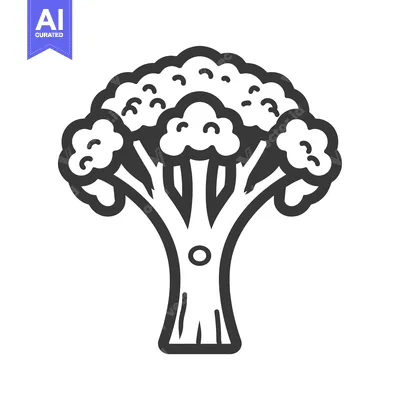 Aset premium populer: Black and White Line Drawing of a Broccoli Floret
