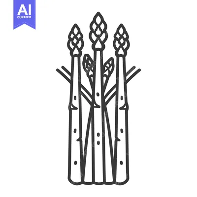 Aset premium populer: Black and white line drawing of a bunch of asparagus