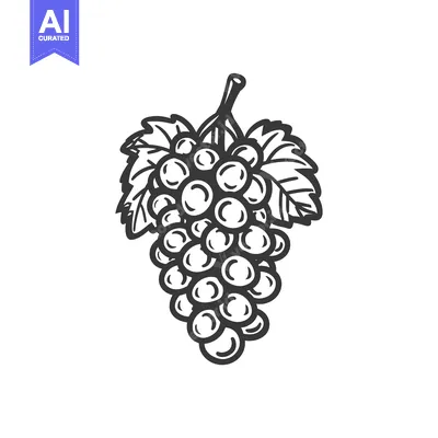 Popular premium asset: Black and White Line Drawing of a Bunch of Grapes with Leaves