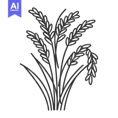 Premium design asset: Black and White Line Drawing of a Bunch of Rice