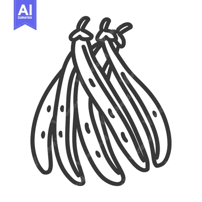 Popular premium asset: Black and White Line Drawing of a Bunch of String Beans