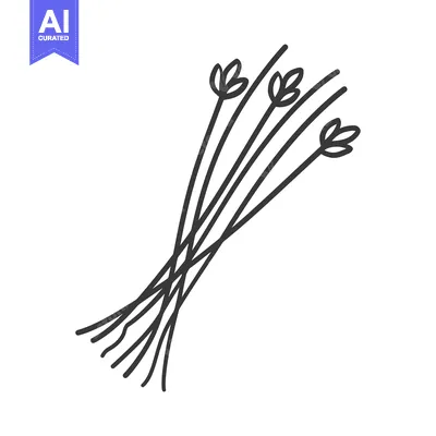 Aset premium populer: Black and white line drawing of a bunch of thin stems with three leaf