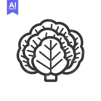 Aset premium populer: Black and White Line Drawing of a Cabbage