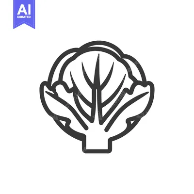 Premium design asset: Black and White Line Drawing of a Cabbage