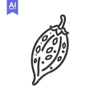 Black and White Line Drawing of a Cacao Pod