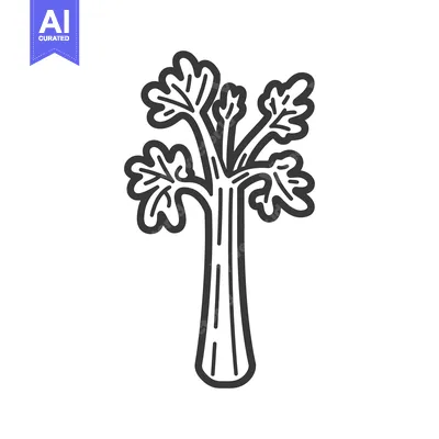 Aset desain premium: Black and White Line Drawing of a Celery Stalk