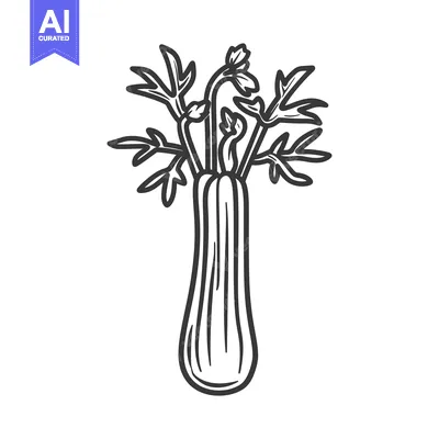 Aset premium populer: Black and White Line Drawing of a Celery Stalk