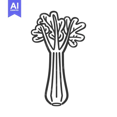 Aset premium populer: Black and White Line Drawing of a Celery Stalk
