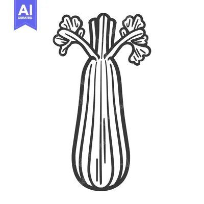 Popular premium asset: Black and White Line Drawing of a Celery Stalk