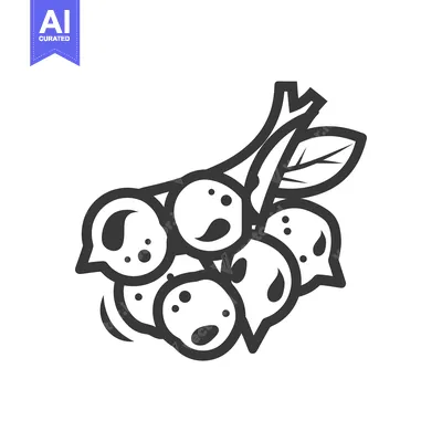 Aset desain premium: Black and white line drawing of a cluster of berries on a stem