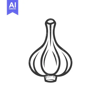 Premium design asset: Black and White Line Drawing of a Garlic Bulb