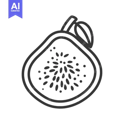 Premium design asset: Black and white line drawing of a halved fig with seeds