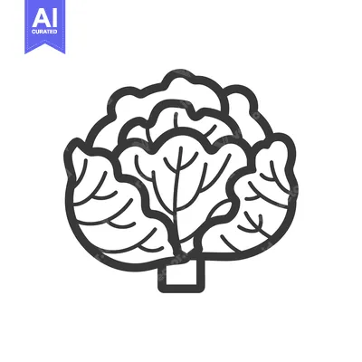 Aset premium populer: Black and White Line Drawing of a Head of Cabbage