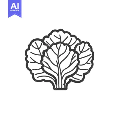 Aset premium populer: Black and White Line Drawing of a Head of Lettuce