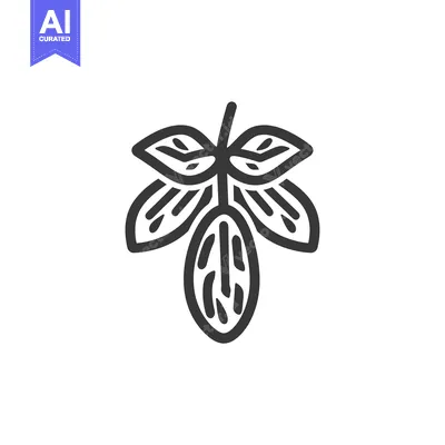 Popular premium asset: Black and White Line Drawing of a Leaf with a Seed Pod