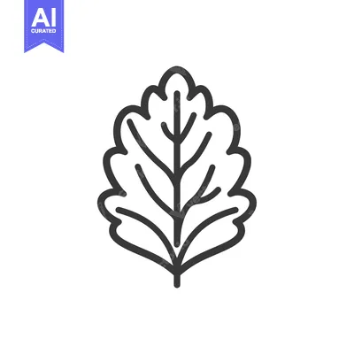 Aset premium populer: Black and white line drawing of a leaf with a stem