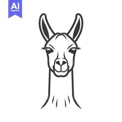 Popular premium asset: Black and White Line Drawing of a Llama Head