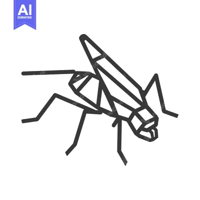 Aset desain premium: Black and White Line Drawing of a Mosquito