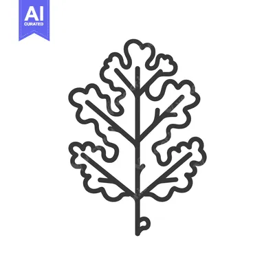 Popular premium asset: Black and White Line Drawing of an Oak Leaf