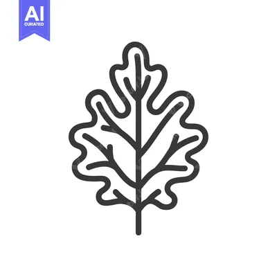 Aset desain premium: Black and White Line Drawing of an Oak Leaf