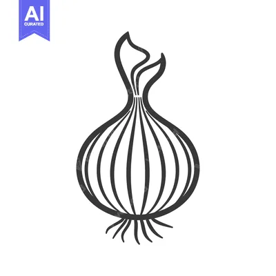 Popular premium asset: Black and White Line Drawing of an Onion