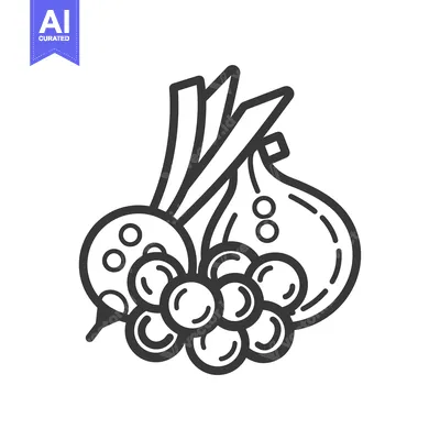 Popular premium asset: Black and White Line Drawing of an Onion, a Beet, and Grapes