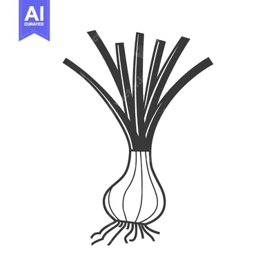 Premium design asset: Black and White Line Drawing of an Onion Plant