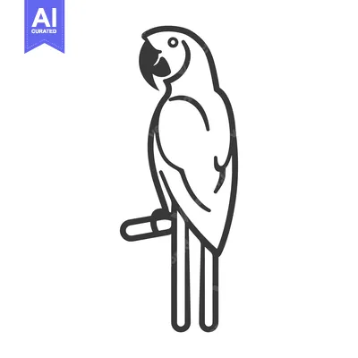 Aset premium populer: Black and White Line Drawing of a Parrot