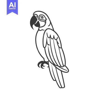 Popular premium asset: Black and White Line Drawing of a Parrot