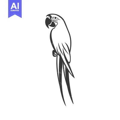 Black and White Line Drawing of a Parrot