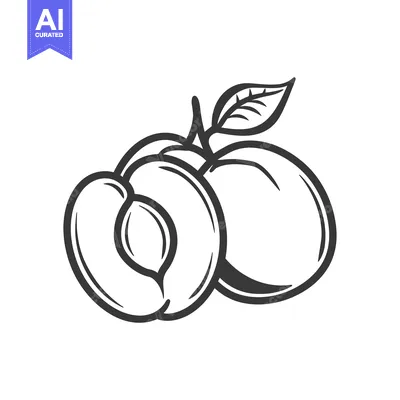Premium design asset: Black and White Line Drawing of a Peach with a Leaf