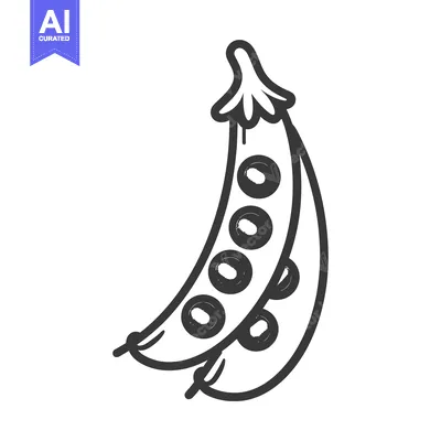 Popular premium asset: Black and White Line Drawing of a Pea Pod